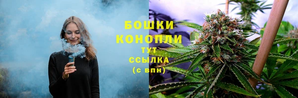 прущие крисы Баксан