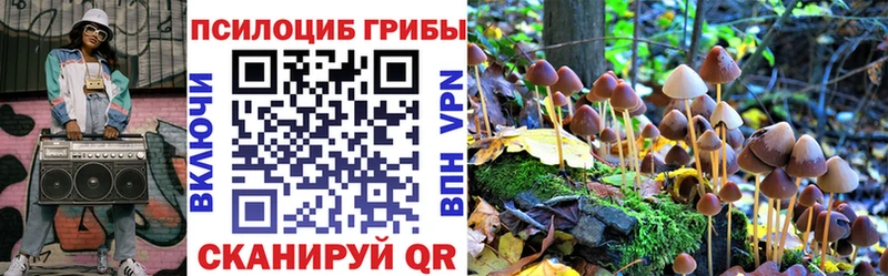 Галлюциногенные грибы Magic Shrooms  Печора 